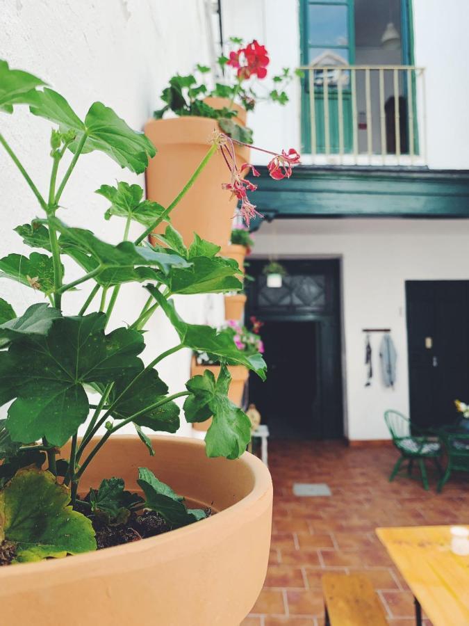 Maria Magdalena - 10 Homestay